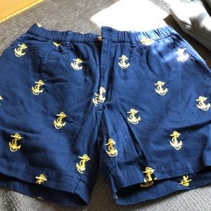 Chubbies shorts size large men